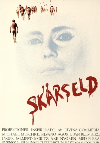 Skärseld