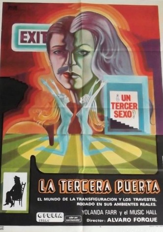 The Third Door