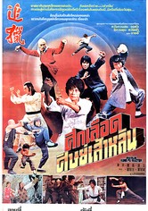 Shaolin Kung Fu Master