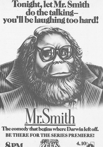 Mr. Smith