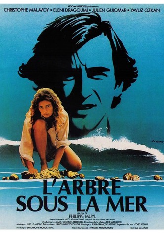 L'arbre sous la mer