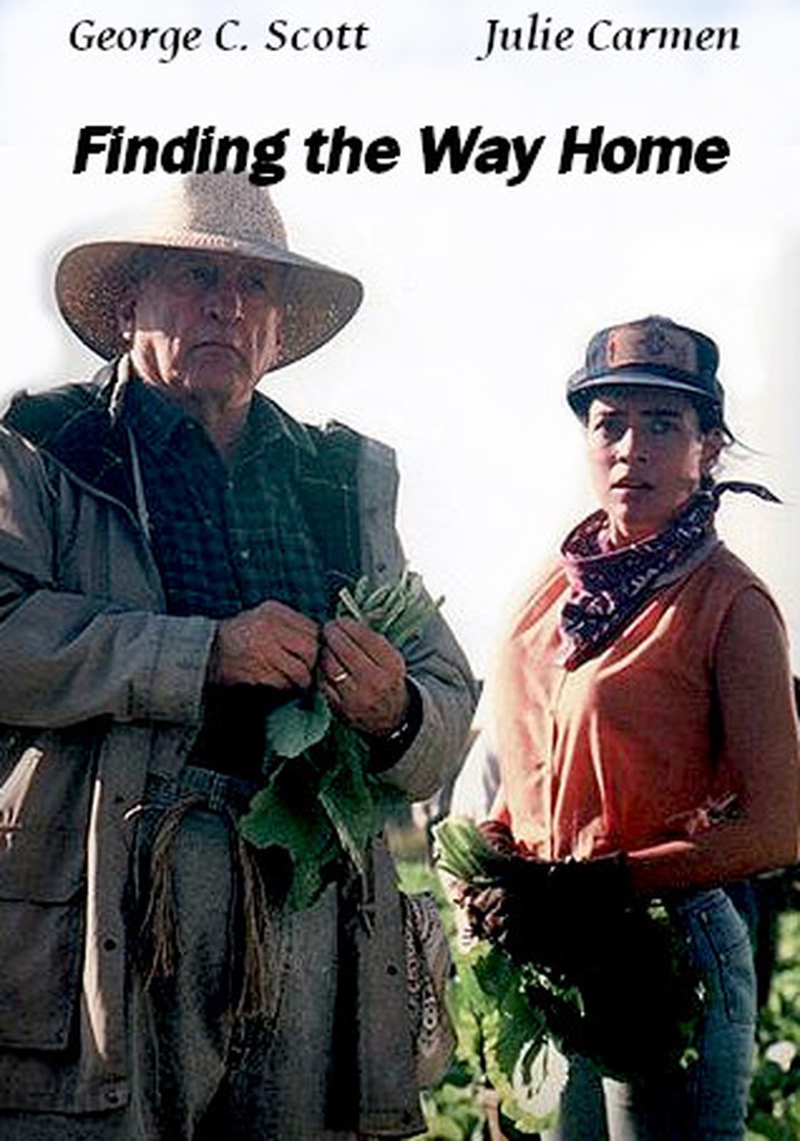 Finding the Way Home