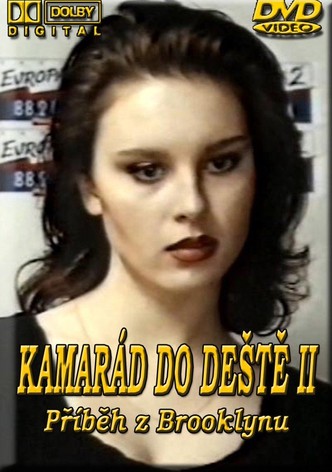 Kamarád do deste II - Príbeh z Brooklynu