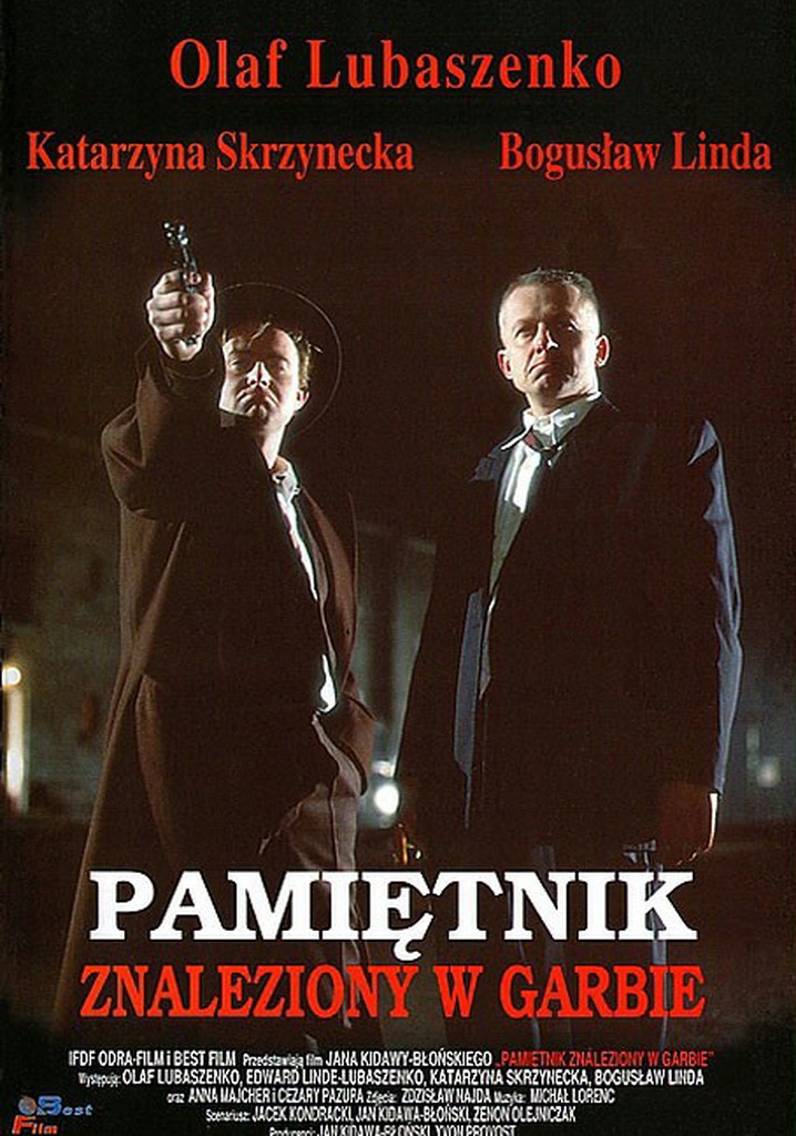 Pamiętnik znaleziony w garbie