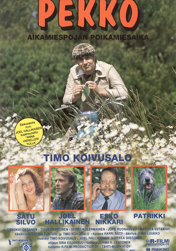Pekko Aikamiespojan poikamiesaika