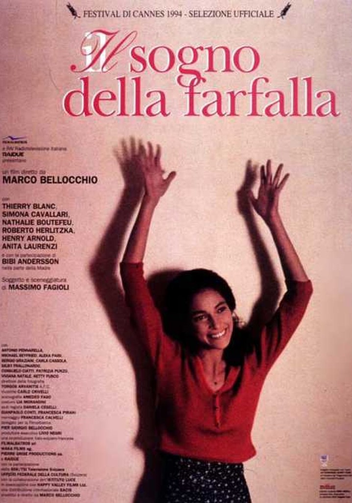 The Butterfly's Dream