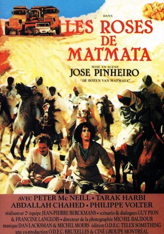 Les roses de Tamerza