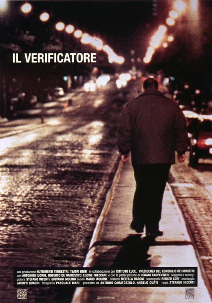 Il verificatore