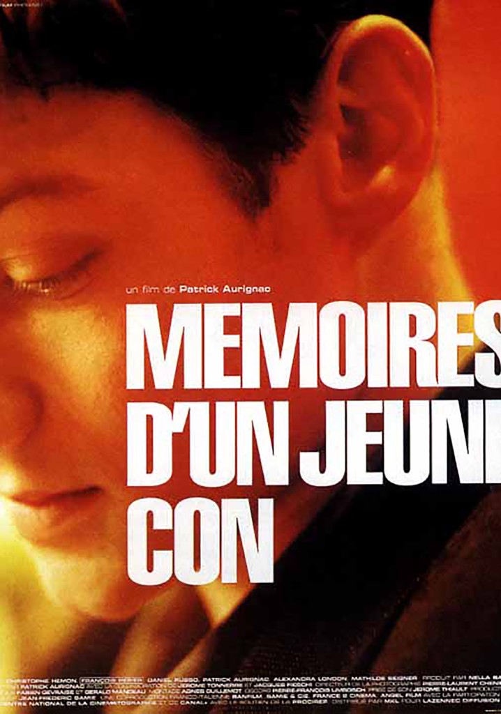 Mémoires d'un jeune con