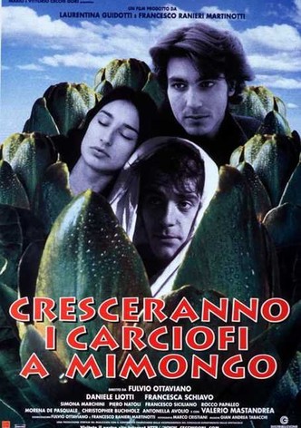 Cresceranno i carciofi a Mimongo
