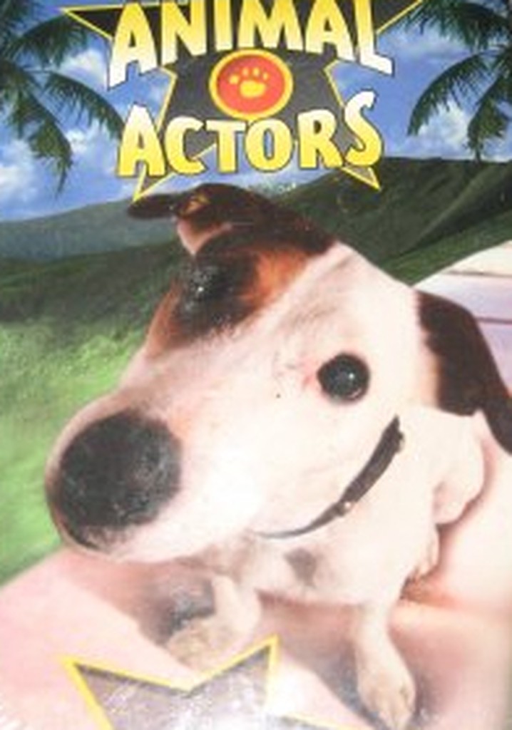 Hollywood's Amazing Animal Actors