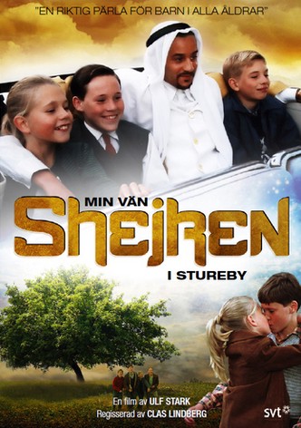 Min vän shejken i Stureby