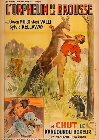 Wild Innocence