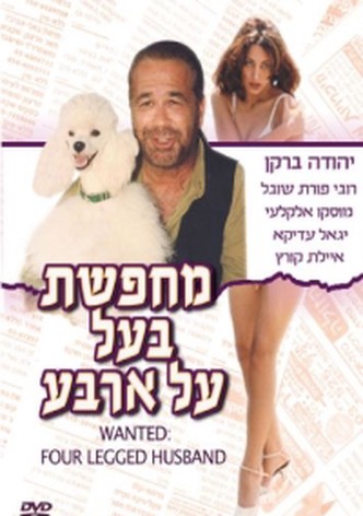 Wanted: Four Legged Husband