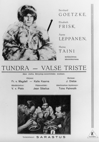 Erämaan turvissa