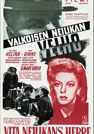 Valkoisen neilikan velho