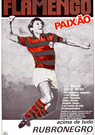 Flamengo Paixão