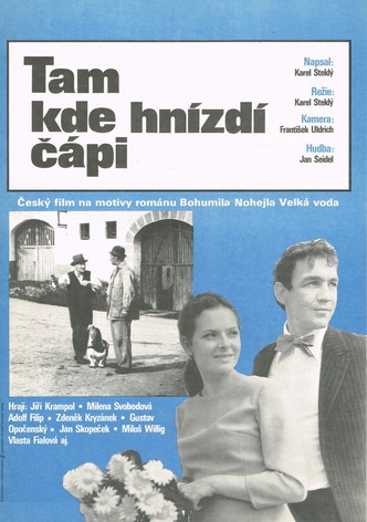 Tam, kde hnizdi cápi