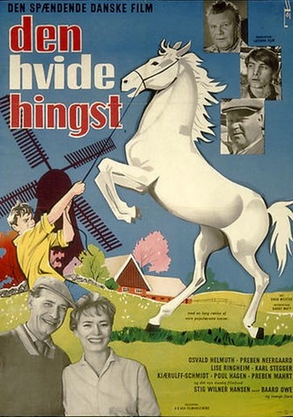 Den hvide hingst