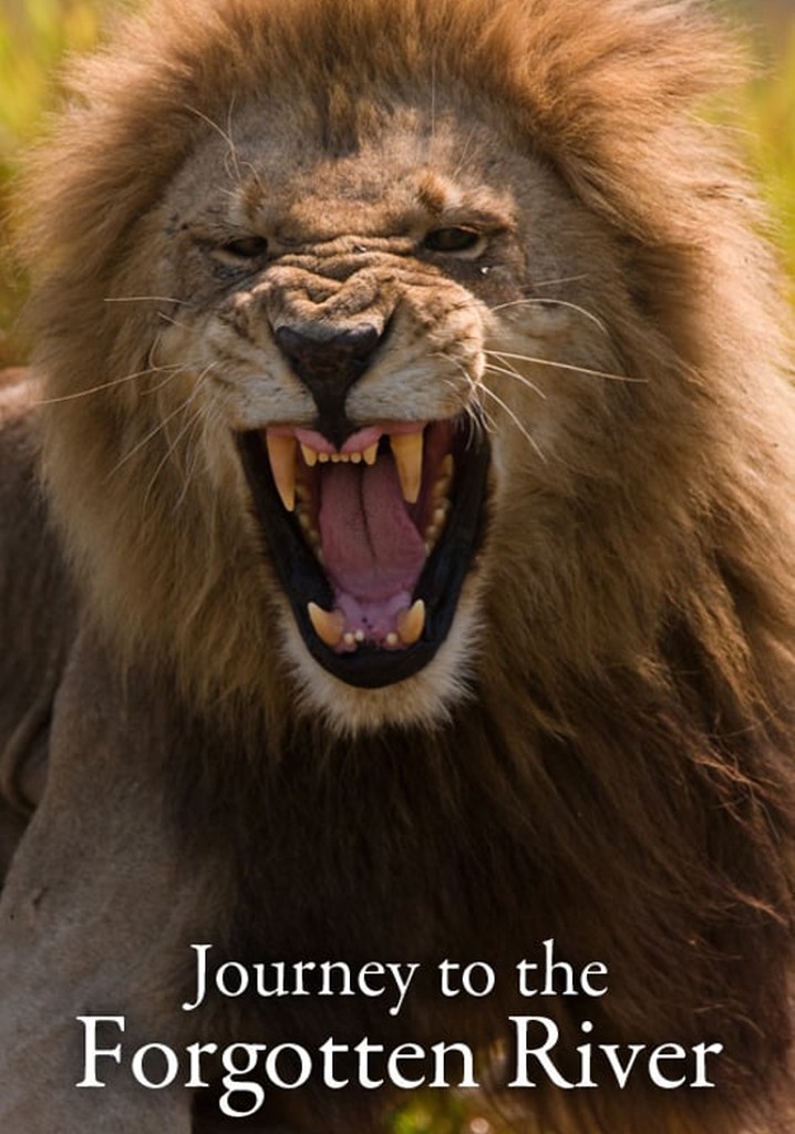 Journey to the Forgotten River