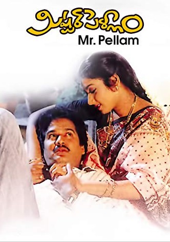 Mister Pellam