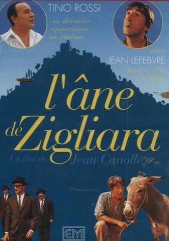 The Donkey of Zigliara