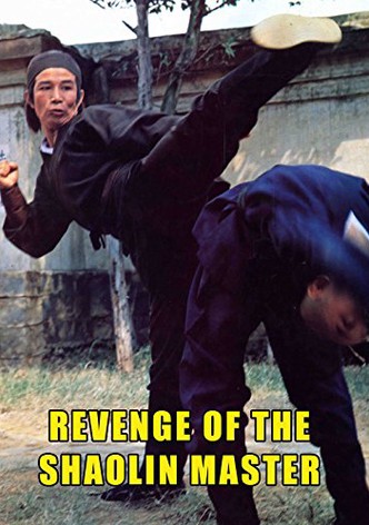 Revenge of a Shaolin Master