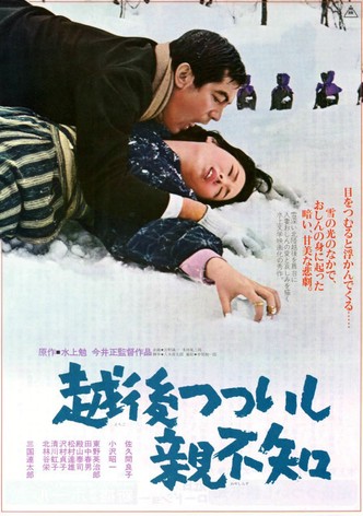 A Story from Echigo