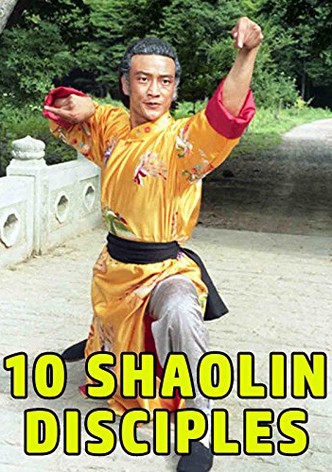 Shaolin Teenage Heroines