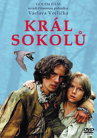 Tomáš and the Falcon King