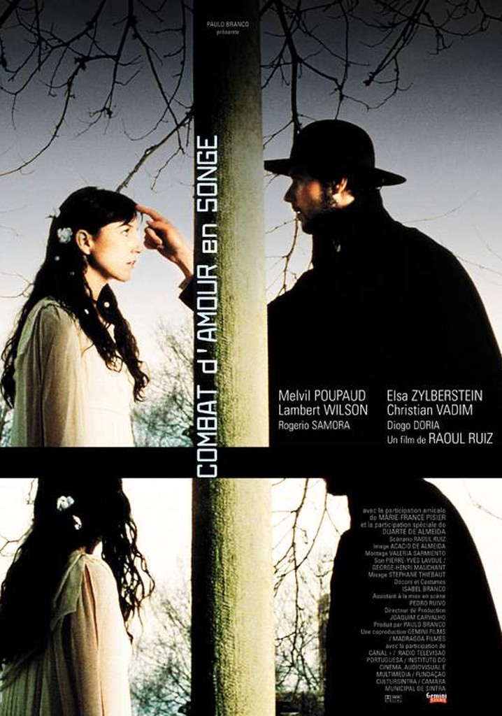 Love Torn in a Dream