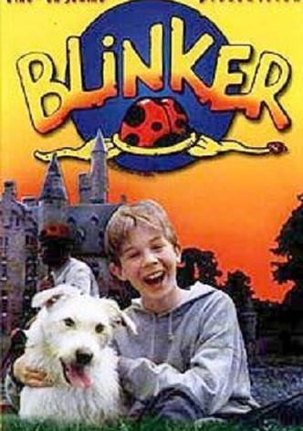 Blinker