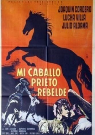 Mi caballo prieto rebelde