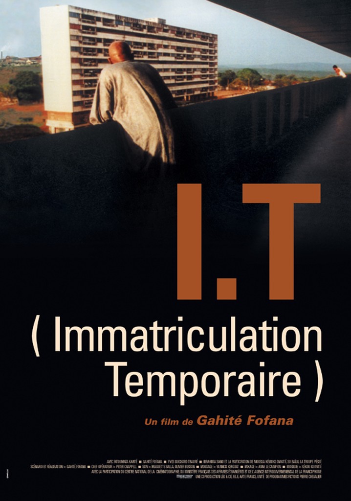 I.T. - Immatriculation temporaire