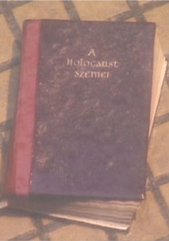 Eyes of the Holocaust