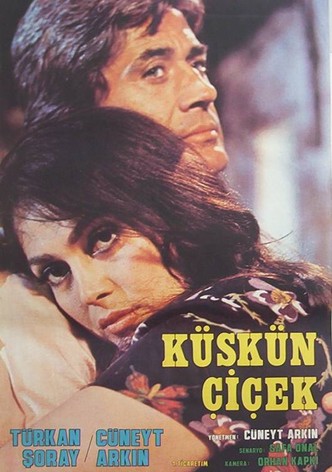 Küskün Çiçek