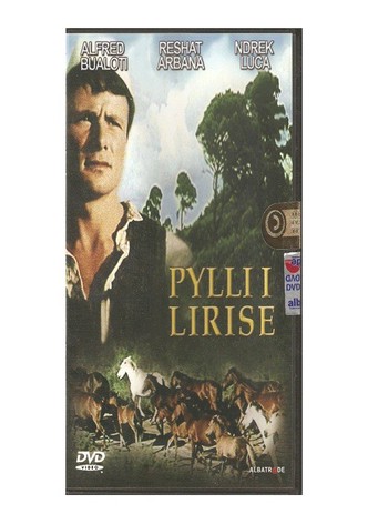 The Forest of Freedom