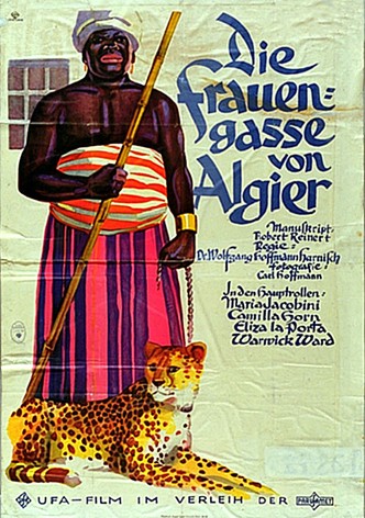 Streets of Algiers