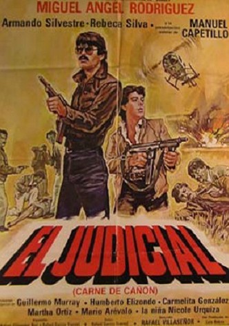 El judicial