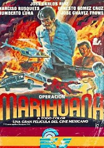 Operación marihuana