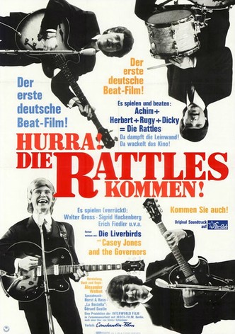 Hurra, die Rattles kommen!