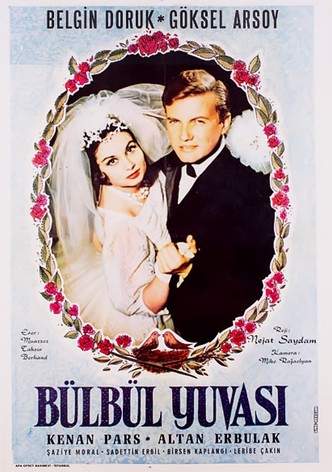 Bülbül yuvasi