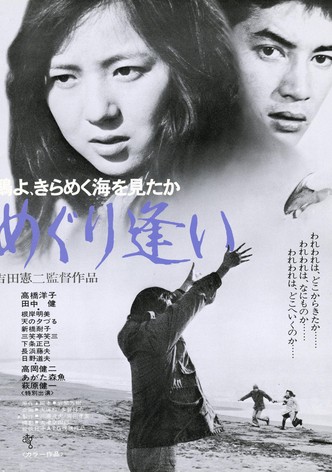 Oh Seagull, Have You Seen the Sparkling Ocean? An Encounter