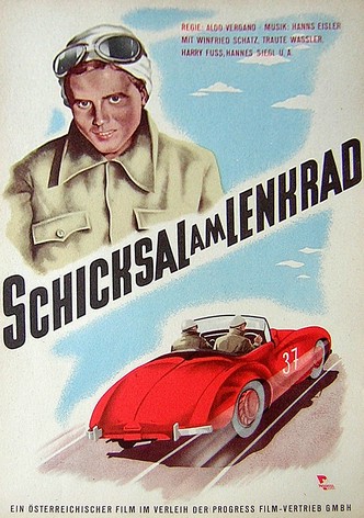 Schicksal am Lenkrad