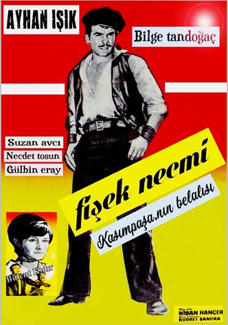 Fisek Necmi