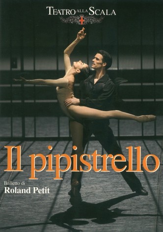 Il pipistrello