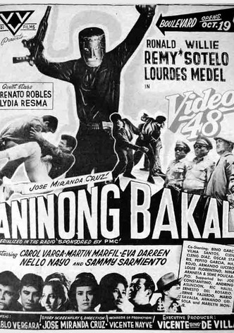 Aninong bakal