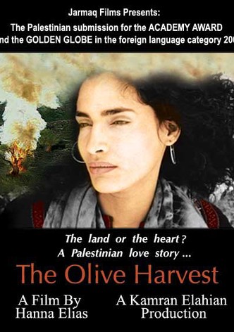 The Olive Harvest