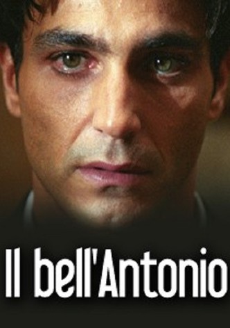 Il bell'Antonio