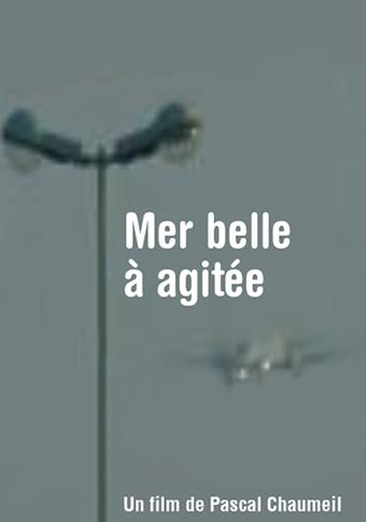 Mer belle à agitée
